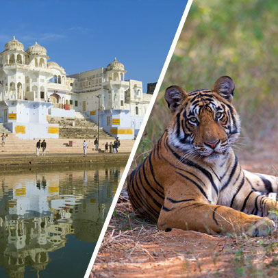 5 Days Jaipur Pushkar Ranthambore