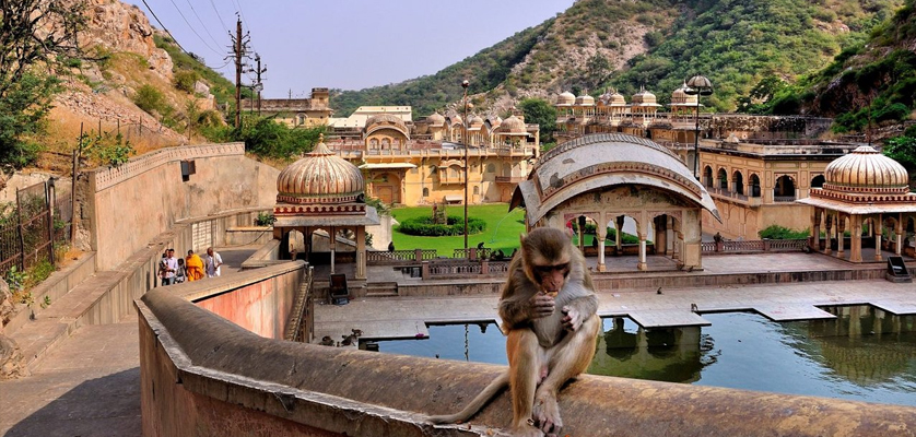 Galta Ji - Monkey Temple