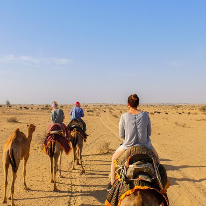 Paquete Turístico de Safari en Camello en Rajasthan