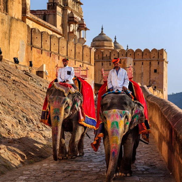 2 days Jaipur fort and palaces tour