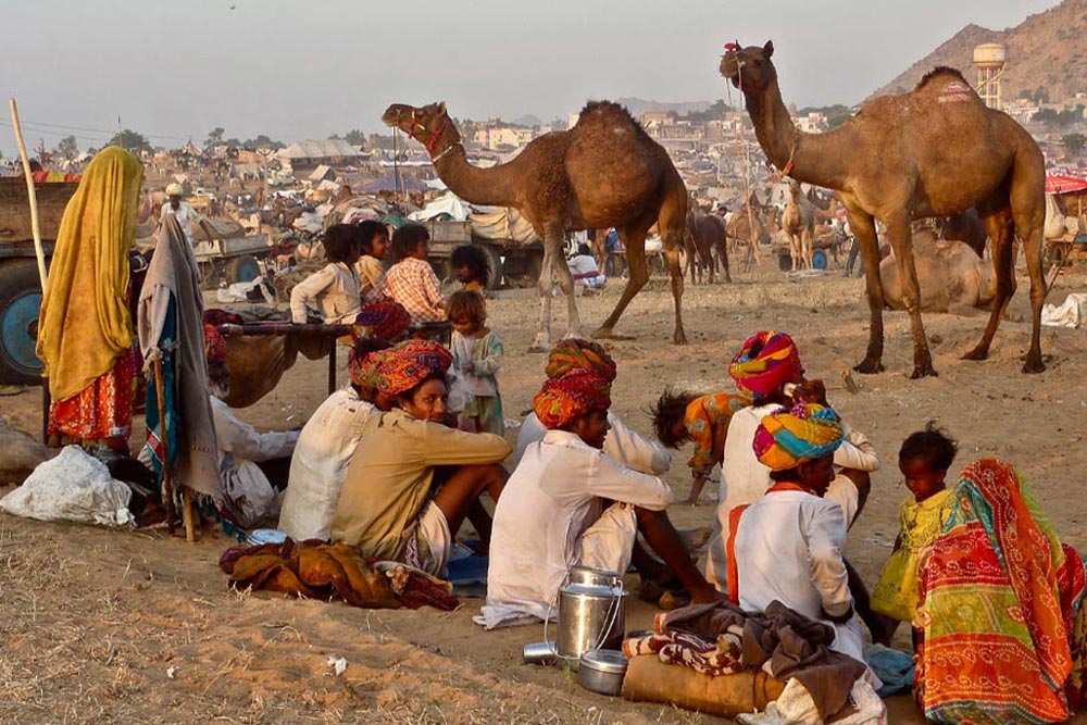 Pushkar Fair 2024 | Camel Fair in Pushkar