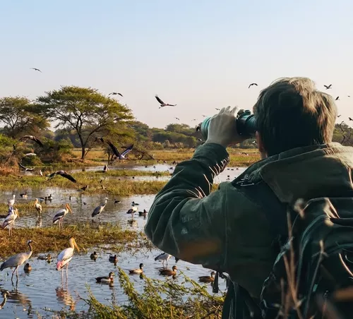 Golden Triangle Tour with Bharatpur Bird Sanctuary